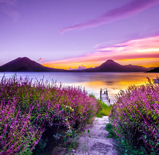 Photo by <a href="https://unsplash.com/@luckybeanz?utm_content=creditCopyText&utm_medium=referral&utm_source=unsplash">Mark H
