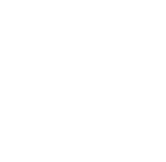 Apple's logo