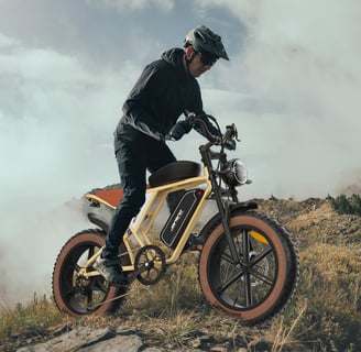  JANSNO Bicicleta Eléctrica 20"