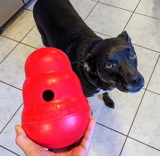 Kong Wobbler Treat Dispenser
