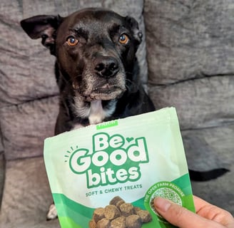 Dog_With_Open_Farm_Dog_Treats
