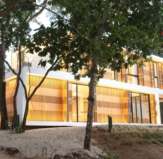 a house with a large glass window and a tree in Tamarindo, Costa Rica