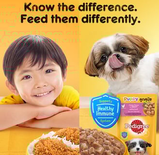 "Pedigree campaign visual showing a young child with fried chicken and a Shih Tzu puppy with Pedigre