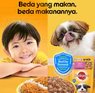 Pedigree campaign visual showing a young child with fried chicken and a Shih Tzu puppy with Pedigree