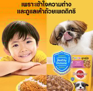 "Three Pedigree campaign visuals showing a young child and a Shih Tzu puppy with different bowls of