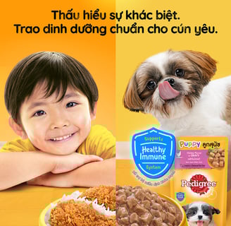 "Three Pedigree campaign visuals showing a young child and a Shih Tzu puppy with different bowls of