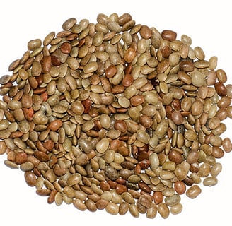 Horse gram
