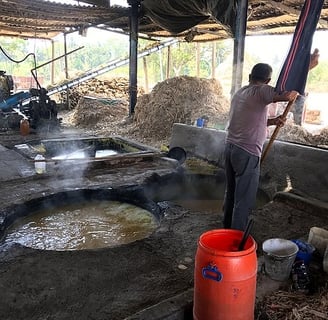 Jaggery making with Sugar cane juice - Hyderabad to Bangalore tour package