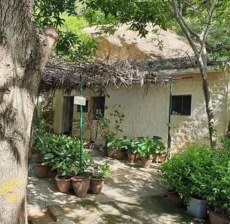 Ramana Maharshi meditation cave