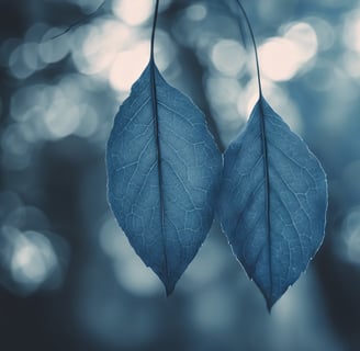 Two leaves side by side in the foreground, with a blurred background
