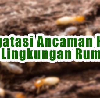 Rayap dan Hama