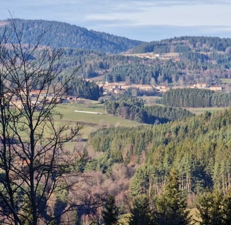 Mountains and forests near my office