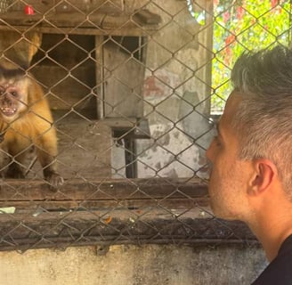 a man in a black shirt is looking at a monkey
