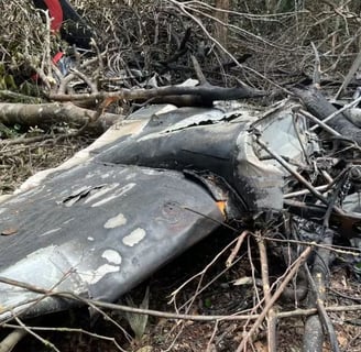 a plane that has been taken off the ground