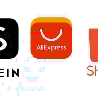 a shopping bag with the words shein and shein