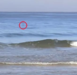 a red circle with a red ring on it