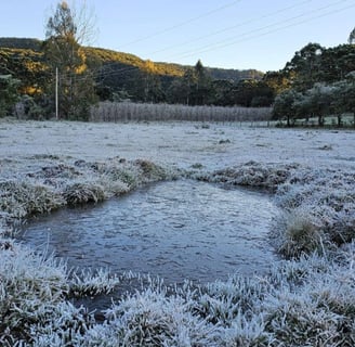 a field with a small stream of water in the middle of the field