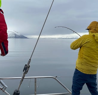 Pêche aux cabillaud en Norvège depuis un voilier