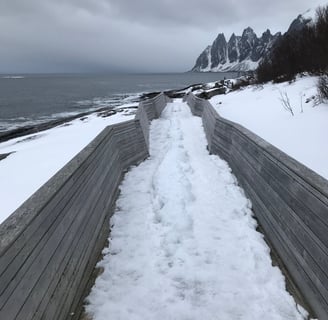 Senja island en Norvège en hiver