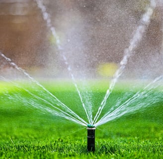 irrigation systems vs manual watering