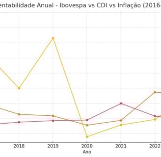 Brazilian Stock Market Rentability