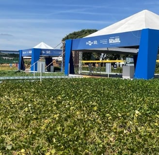 Embrapa Technology