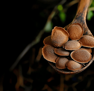 imagem em closeup de uma colher de madeira com várias sementes de uma planta brasileira chamada Sucupira