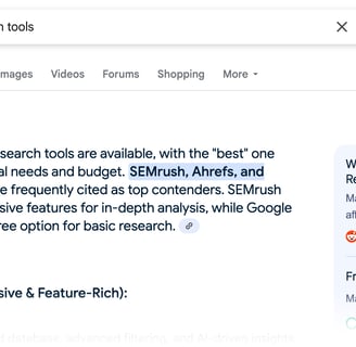 Google's SGE example using the search term, "what is the best keyword search tools"