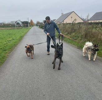 Thami petsitter