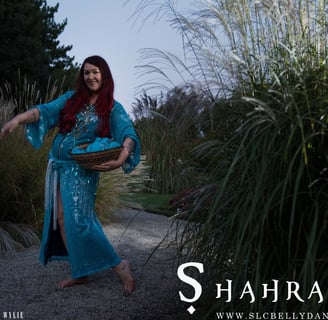 Shahravar Bellydance teacher with classes in Martinborough New Zealand