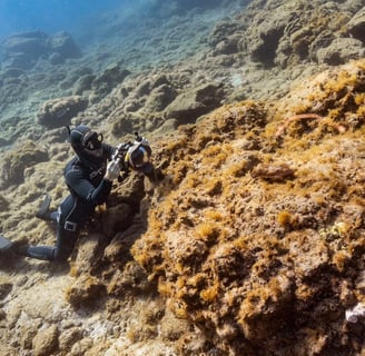Sébastien Saintignan taking pictures underwater