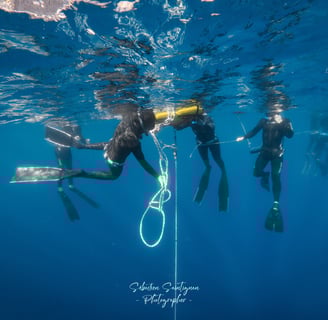 a group of freediver during a course. Photo taken by Sébastien Saintignan