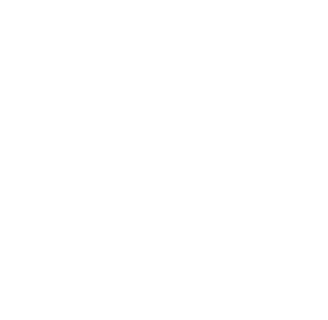 Beaches Logo