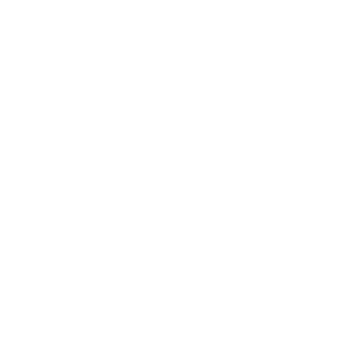 Sandals Logo