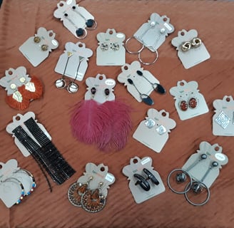Variety of hypoallergenic earrings