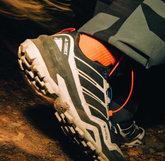 Adidas Terrex Skychaser Gore Tex 2025