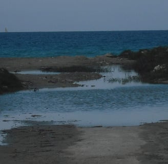 a beach with a boat in the water