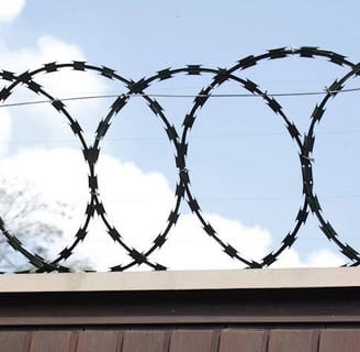 a barbed wire fence with barbed wire and barbed wire