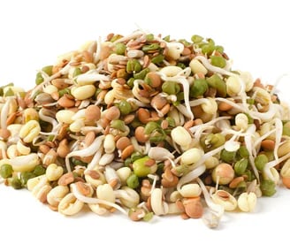 A variety of sprouted grains, seeds, and legumes including Bajra, Barley, Wheat, Maize, Ragi, Alfalf
