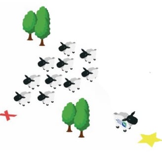 a flock of sheeps are in a flock of sheep