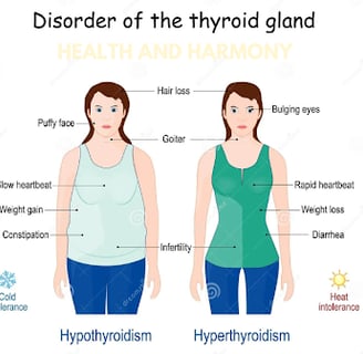 Unveiling the Common Symptoms of Thyroid Disorders
