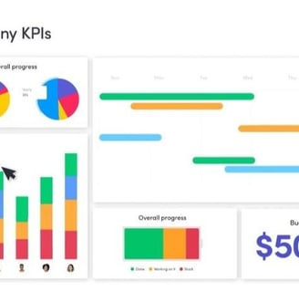 project management software