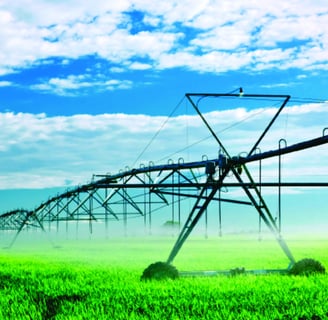 Imagem de uma lavoura sendo irrigada na zona rural representando a avaliação de imóveis rurais.