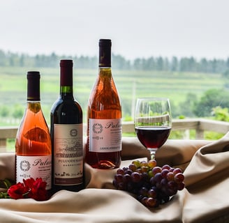 Imagine cu tipurile de vinuri