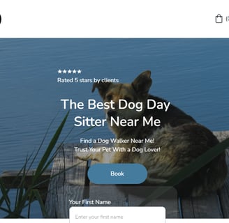 Fast Website Design