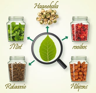a magnifying image of a magnifying glass jar with a magni