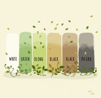 a row of four different colored bottles of white, green, and black