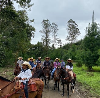 horses