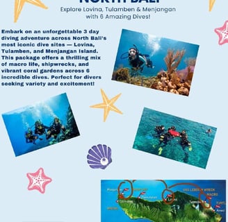 a flyer for a scuba school in the north bali , offering safari dive with free accommodation