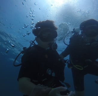  Diver exploring coral reef at Menjangan Island with Sunrise Dive Bali